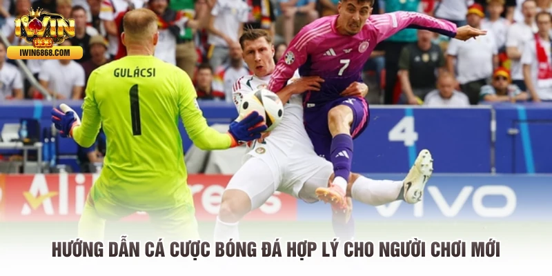 Hướng Dẫn Cá Cược Bóng Đá Hợp Lý Cho Người Chơi Mới